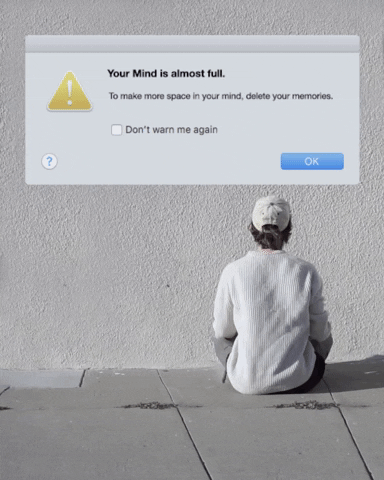 giphy-3 (1).gif