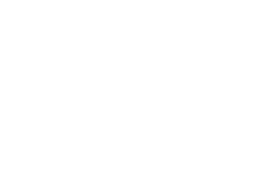 Logo klienta Hotel Elizabeth