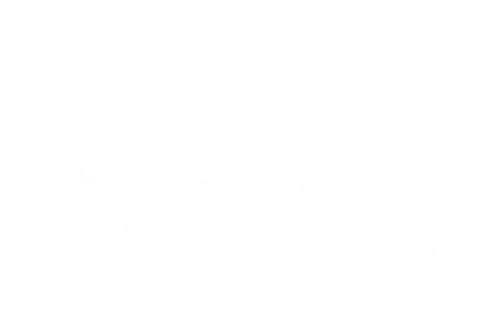 Logo klienta JAZZ club cafe restaurant
